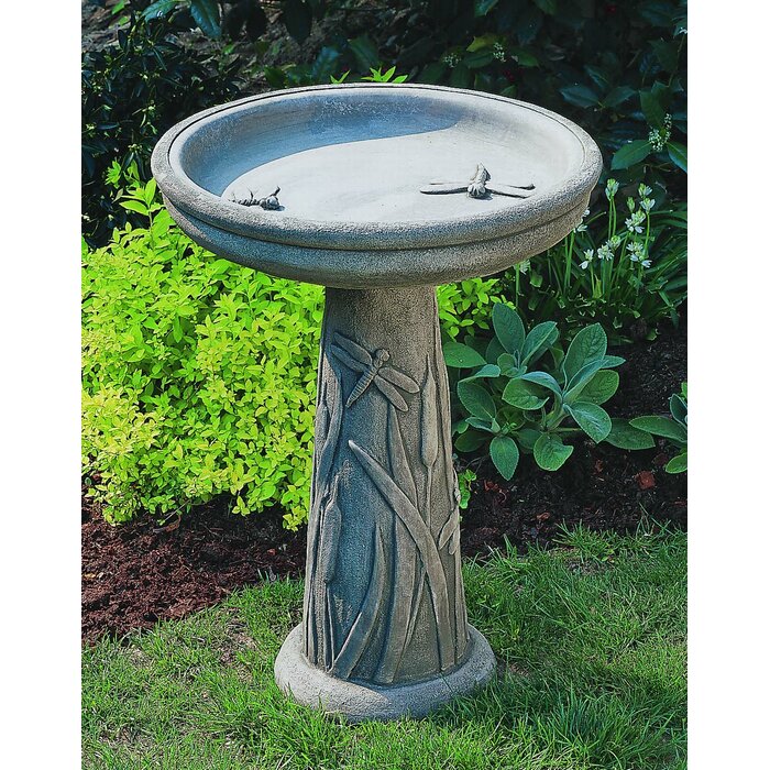 Campania International, Inc Concrete Pedestal Birdbath & Reviews | Wayfair